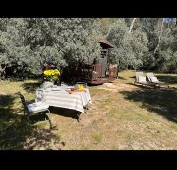 Roulotte / Tiny House Dans Les Alpilles Hotel Saint-Rémy-de-Provence Exterior photo